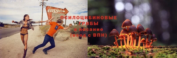первитин Козельск