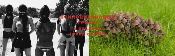 мет Козловка
